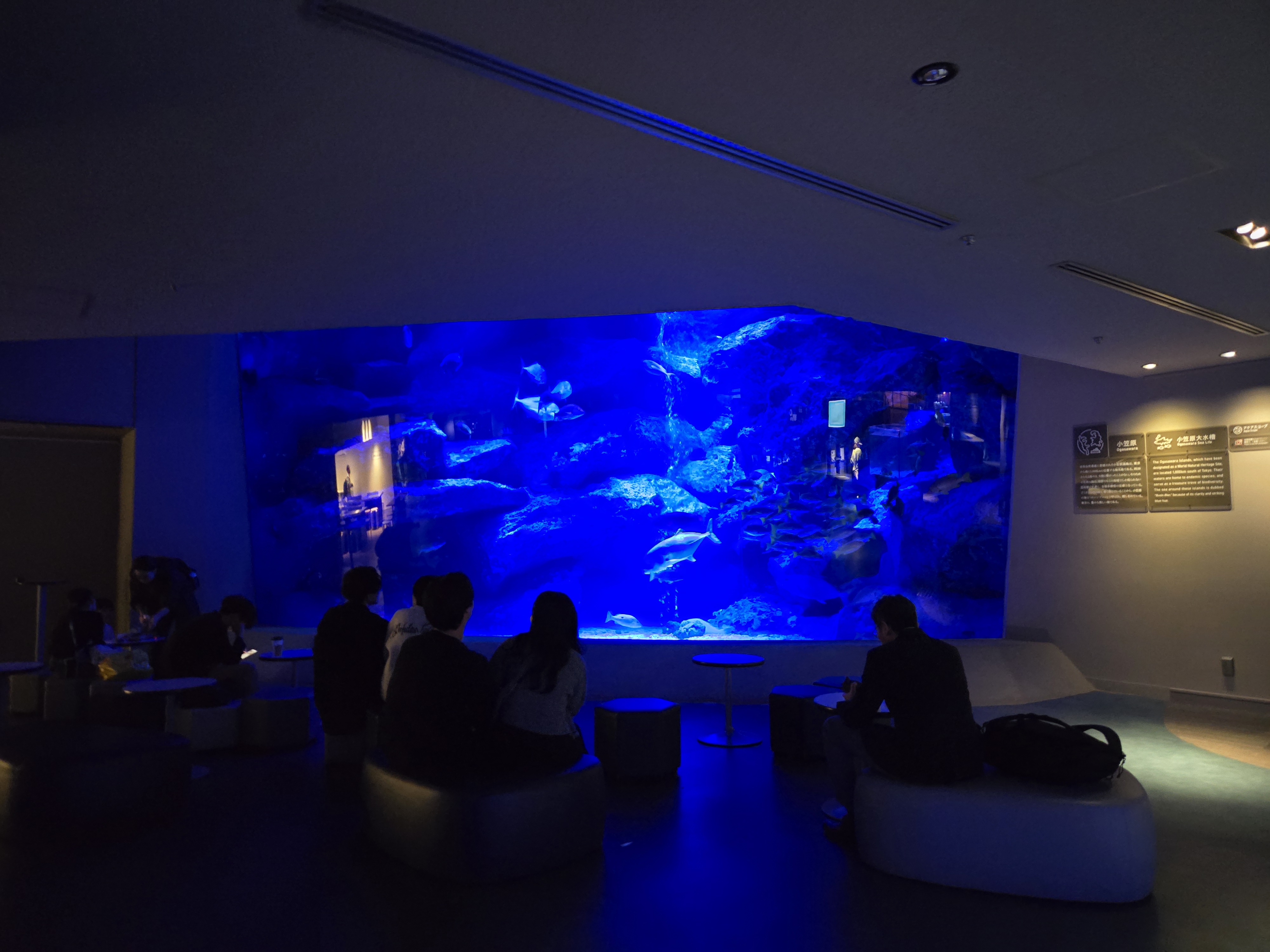 도쿄 스미다수족관 대형 수족관