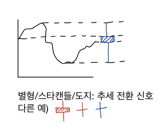 별형/스타캔들/도지