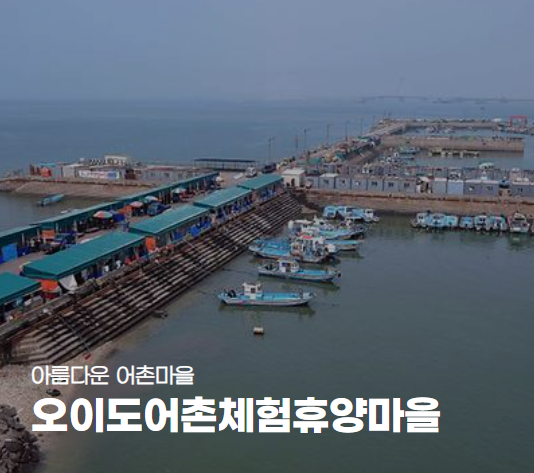 경기 시흥 오이도 갯벌체험 정보 안내