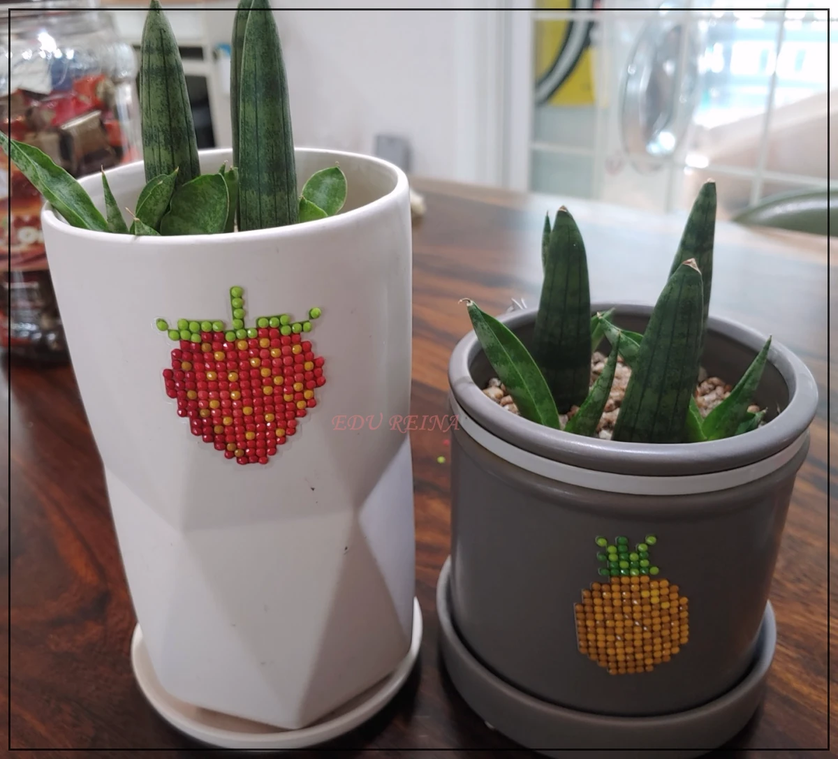 스투키화분-2개