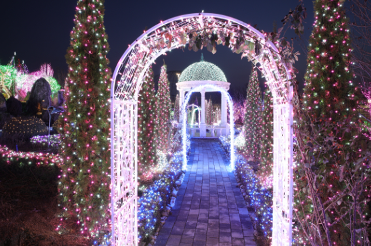 퍼스트가든 별빛축제