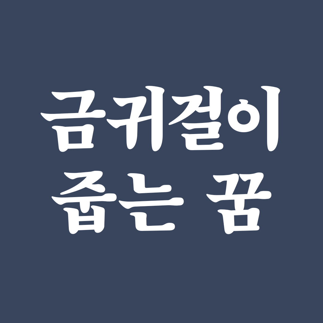 금귀걸이 줍는 꿈