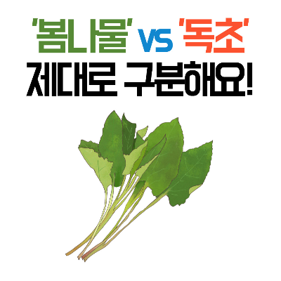 독초