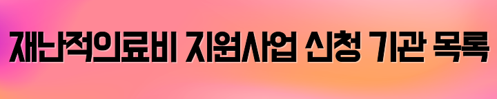 재난적의료비
