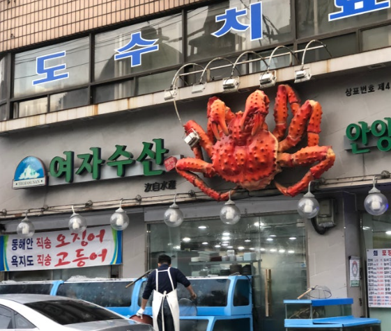 안양식물회 생방송투데이 여자수산 식당 본점 위치 영업시간 성지 정보 1