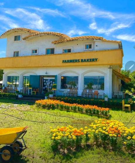 생방송투데이 딸기빵 옥수수빵 토마토빵 농촌카페거리 춘천 파머스가든 고수에이드