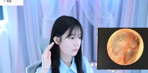 BJ엔돌핀