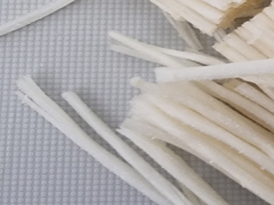 팽이버섯 사진28