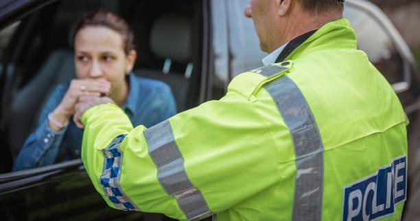 815-광복절-특사-음주운전-확인