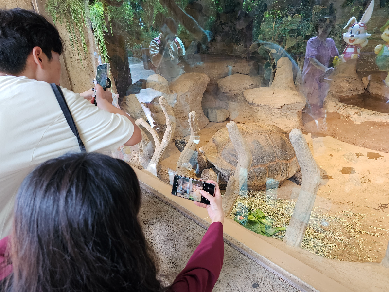 애니멀원더랜-거북