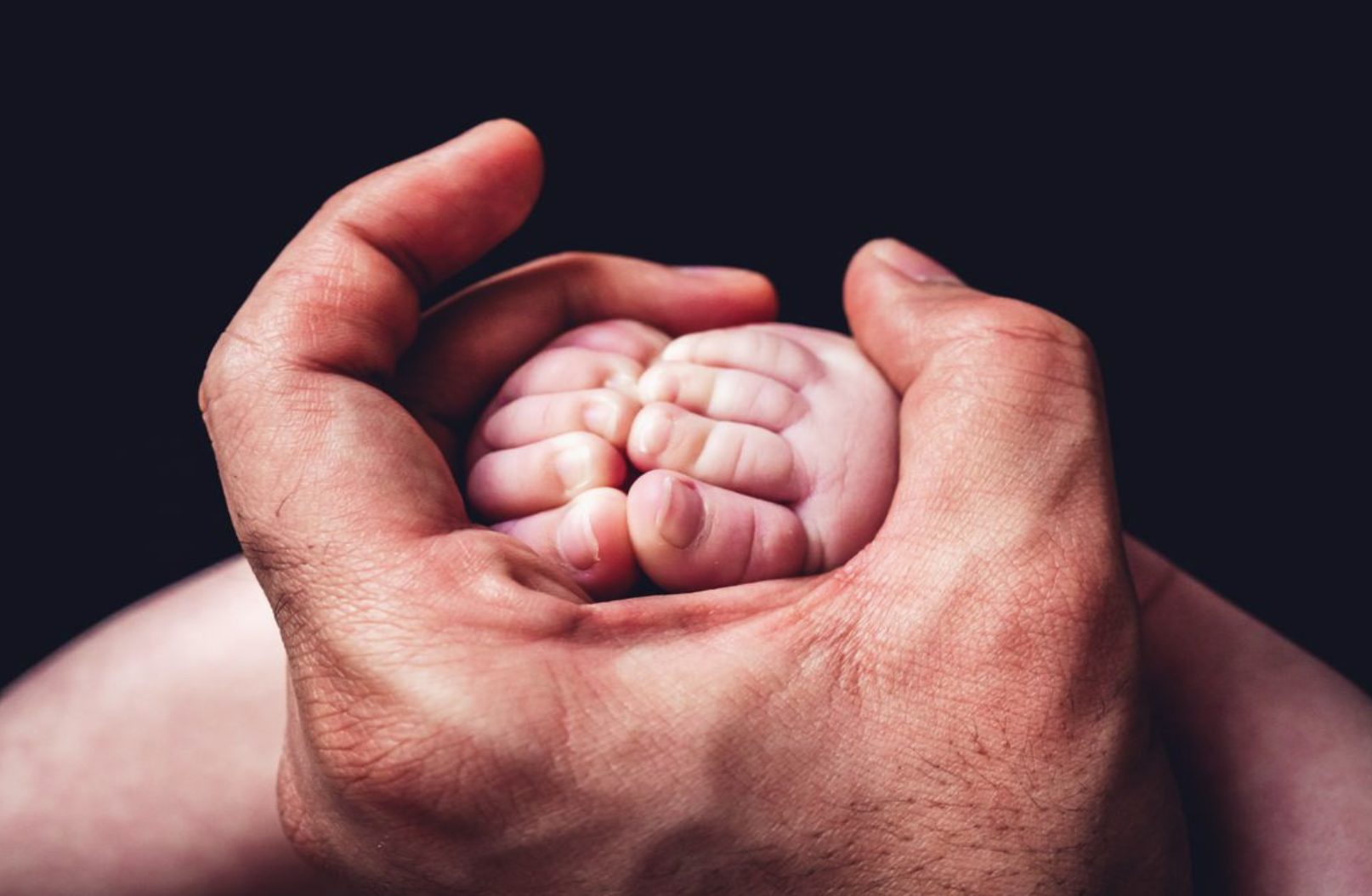 출산 / 가족 / 육아 / 생명