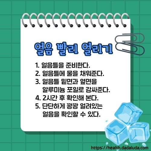 얼음 어는 시간 얼음 빨리 얼리는 법