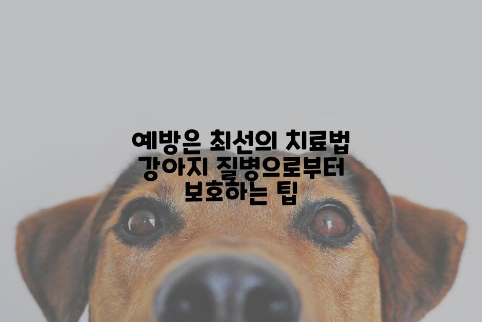 예방은 최선의 치료법 강아지 질병으로부터 보호하는 팁
