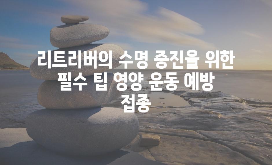 리트리버의 수명 증진을 위한 필수 팁 영양 운동 예방 접종