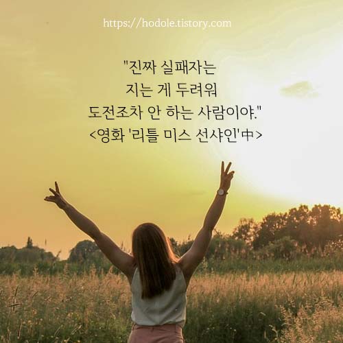 리틀미스선샤인-명대사