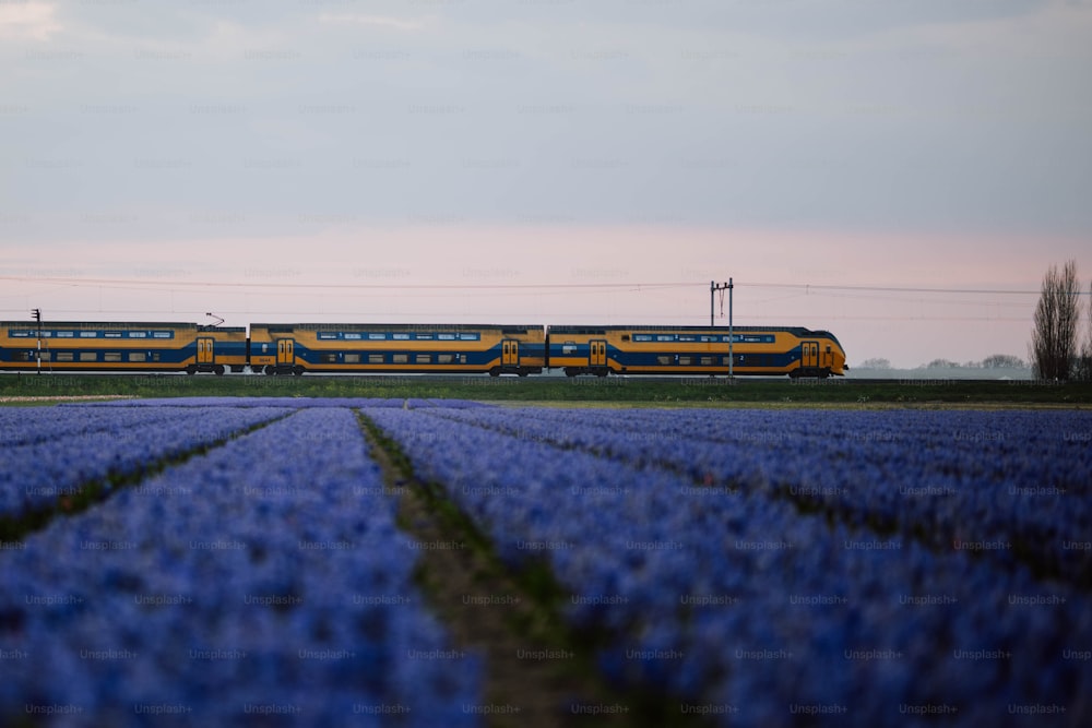 KTX 취소 수수료