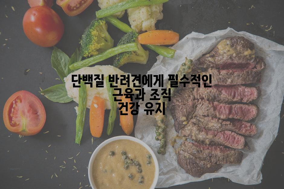 단백질 반려견에게 필수적인 근육과 조직 건강 유지