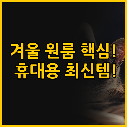 한 겨울 원룸을 살리는 법, 휴대용 ..
