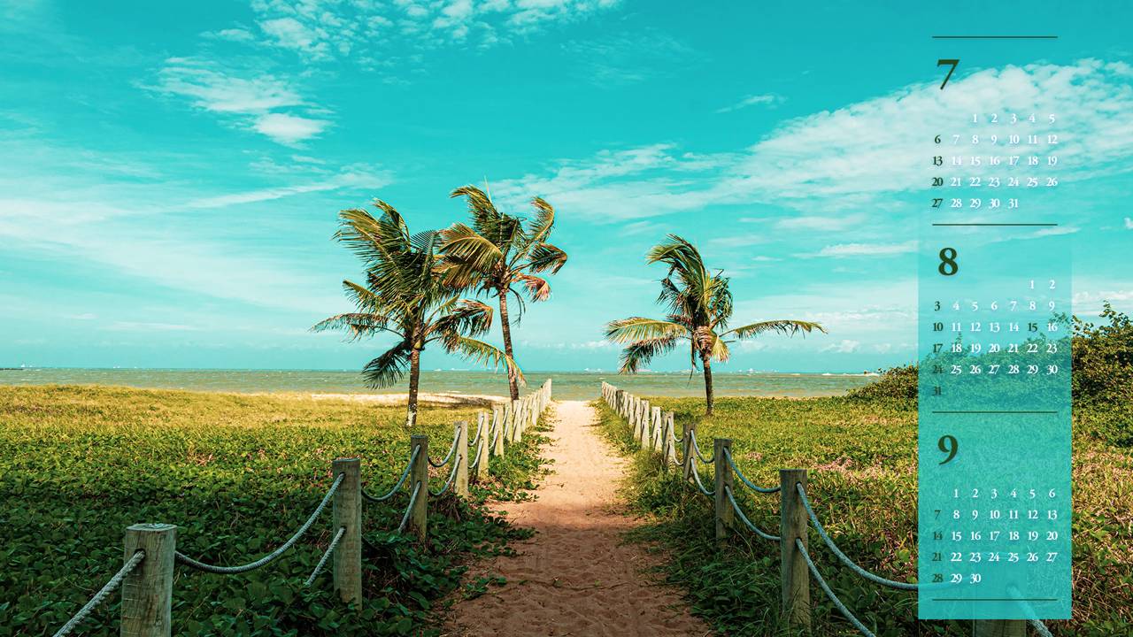 02 야자나무 B - 2025년8월 노트북배경화면