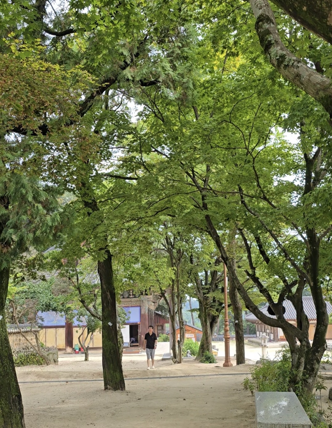 직지사 안을 둘러보는 여행객