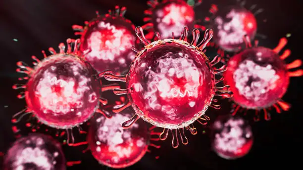 홍역 발병과 관련된 새로운 변종 바이러스가 존재할까?