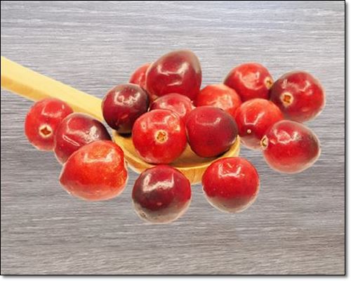 구연산 많은 식품