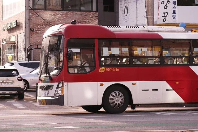 버스