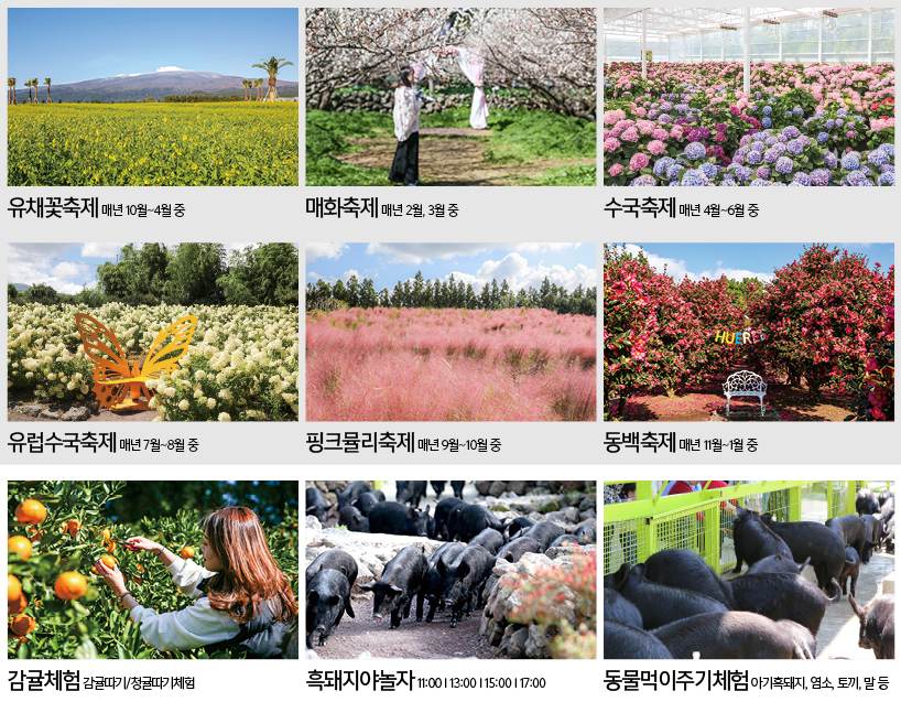 2026 휴애리 자연휴양림 : 각종 축제