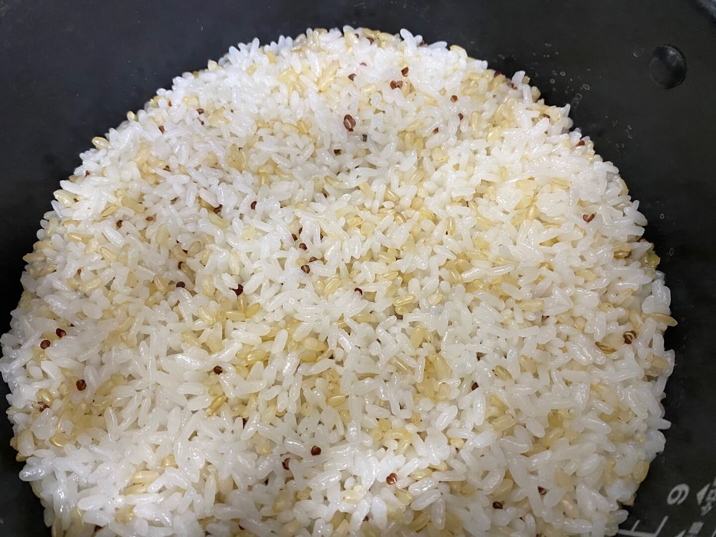 퀴노아 밥