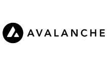 아발란체(Avalanche)
