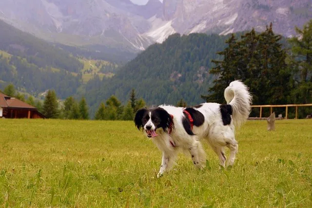 피곤할 때 먹는 영양제 TOP5 &ndash; 후기 많은 피로회복템 (+최신)