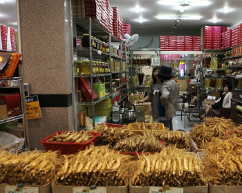 풍기인삼축제_13