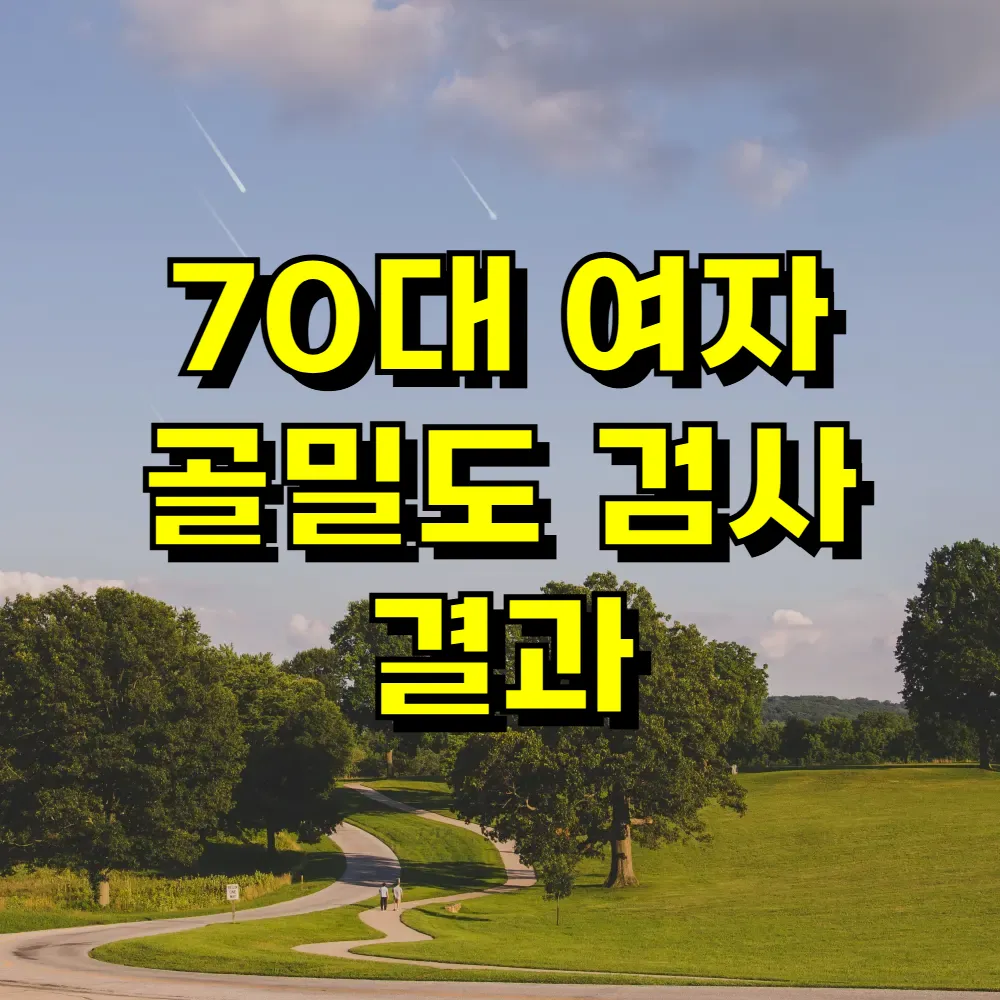 70대 여자 골밀도 검사 결과
