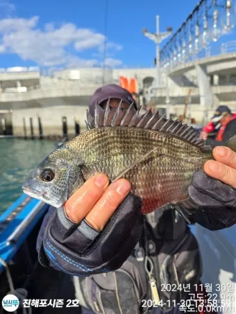 압해도 장감리 감성돔 포인트 소개와 혼자하는 낚시의 즐거움 완벽 낚시 가이드_15
