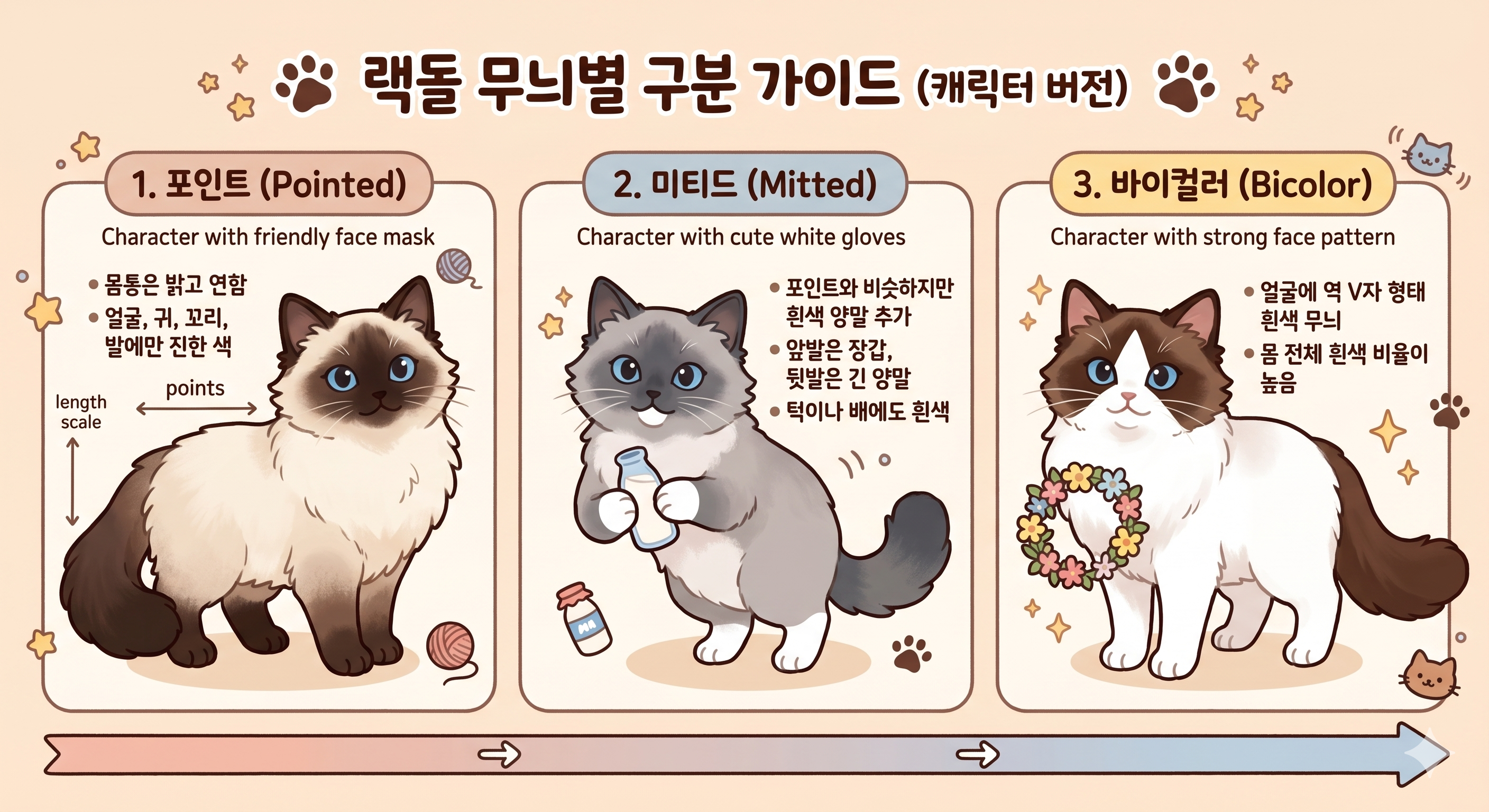 랙돌 고양이, 무늬별로 어떻게 구분할까?