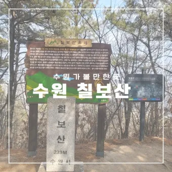 수원 칠보산 등산 코스 추천 용화사 코스로 여유롭게 걷기_18