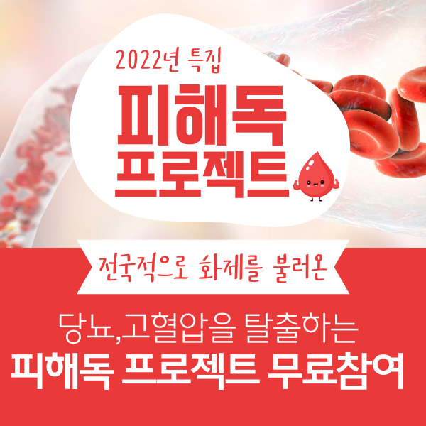 피해독-프로젝트