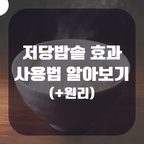 저당밥솥 효과 및 사용법