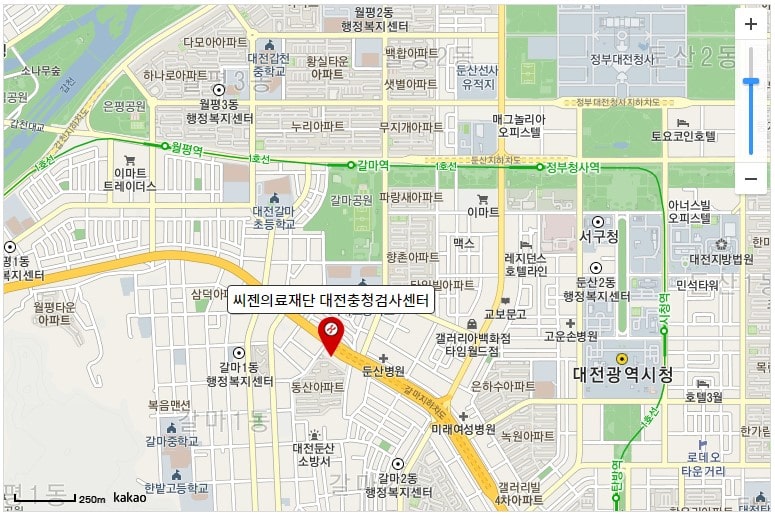 출국 코로나 검사