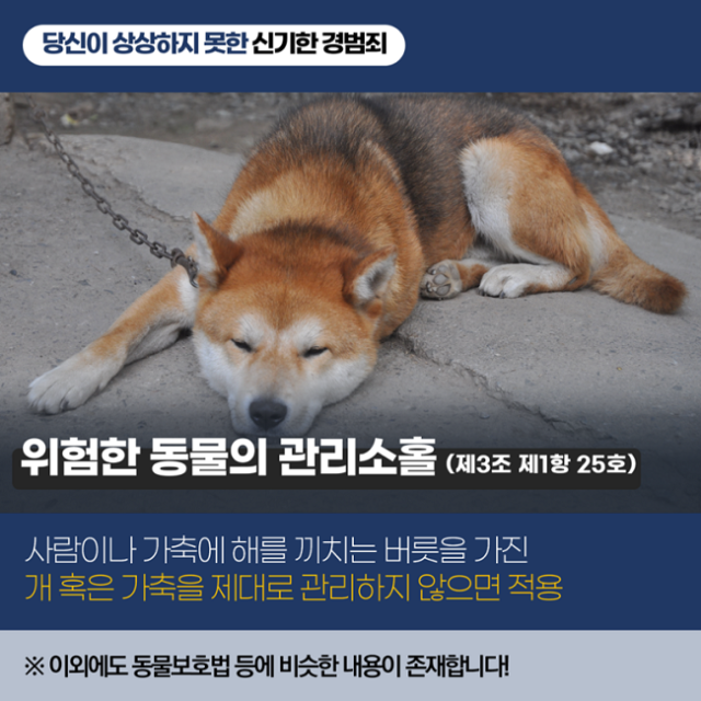 경범죄3