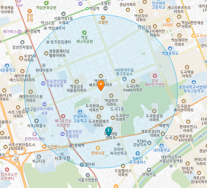 서울 강남구 도곡동 일요일 진료 휴일 문 여는 병원