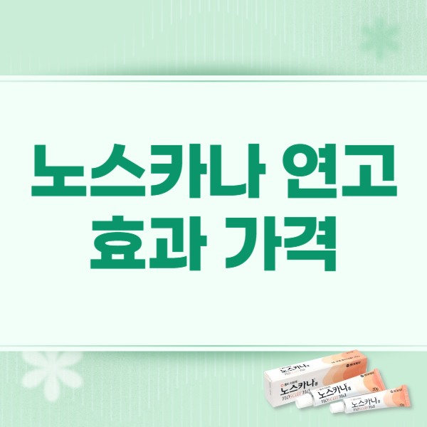 노스카나 연고 효능 부작용 가격