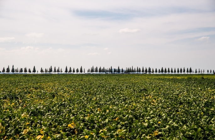 부안군 역사 명소 음식