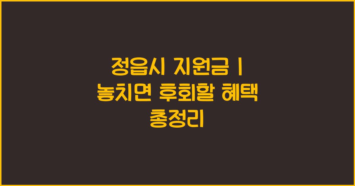 정읍시 지원금