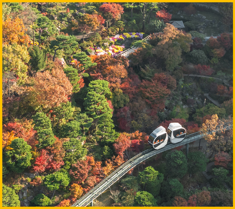 화담숲 가을 사진