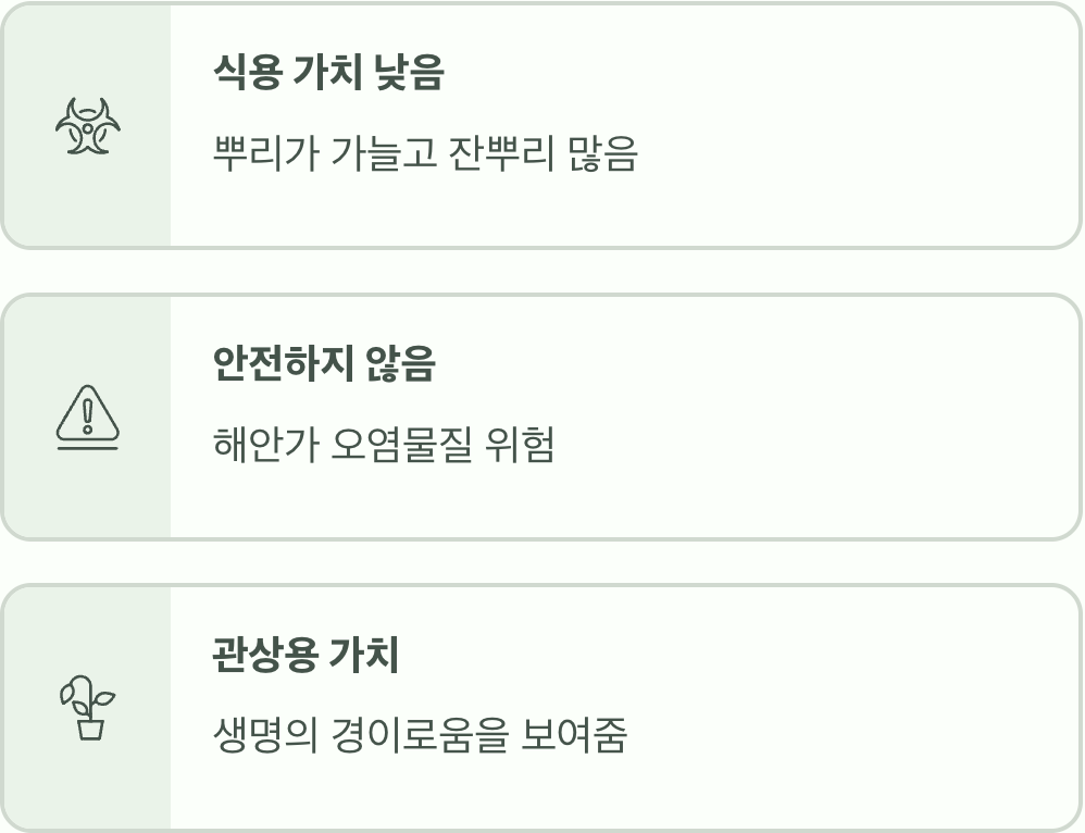먹을 수 있을까? (식용 여부)