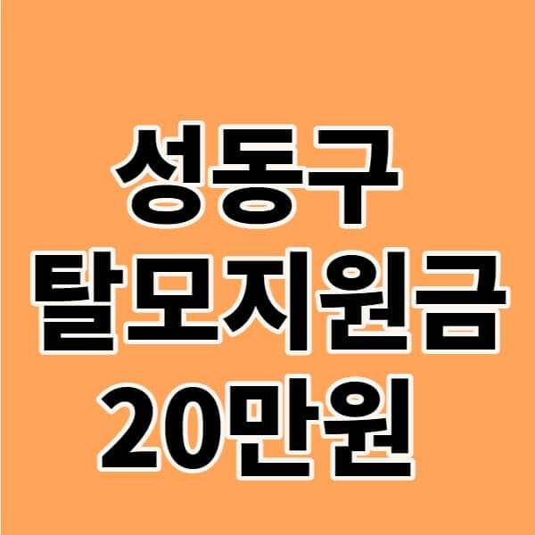 성동구 탈모지원 20만원