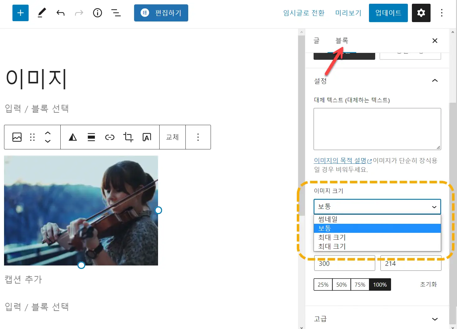 워드프레스 이미지가 작게 삽입되는 경우