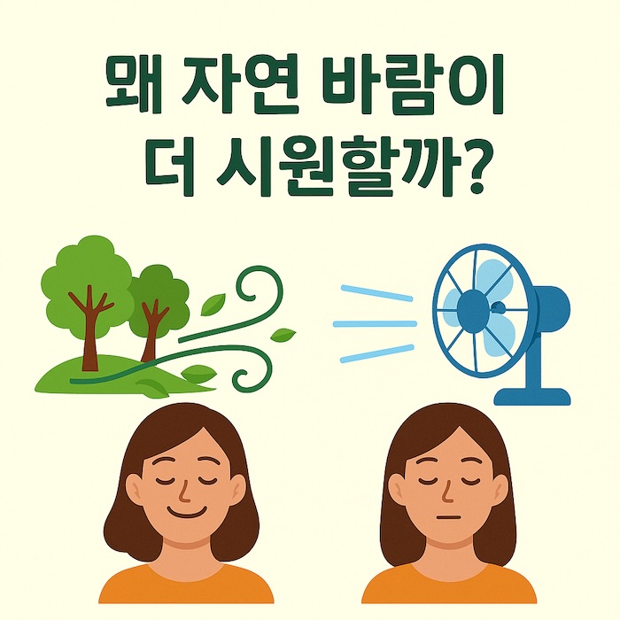 왜 자연 바람이 더 시원할까?
