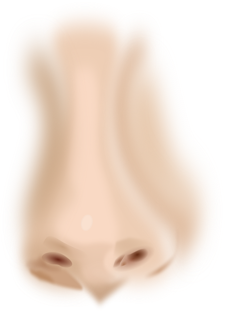 효과적인 호흡 운동, 불안 완화와 안정감 회복을 위한 습관